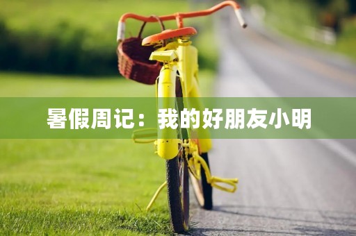 暑假周记：我的好朋友小明