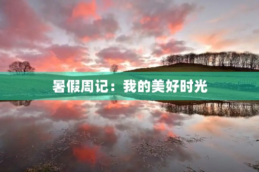 暑假周记:我的美好时光 暑假周记:我的美好时光