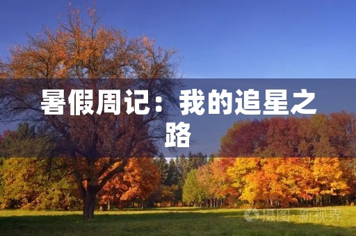 暑假周记:我的追星之路 暑假周记:我的追星之路