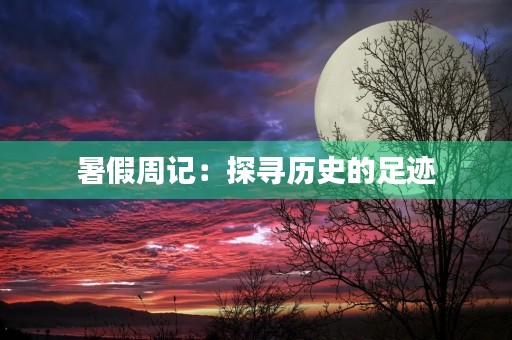 暑假周记:探寻历史的足迹 暑假周记:探寻历史的足迹