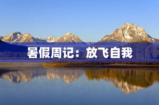 暑假周记：放飞自我