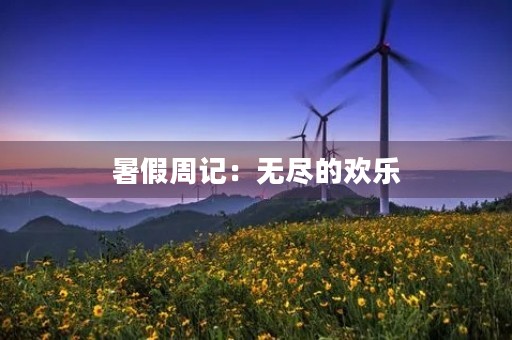 暑假周记:无尽的欢乐 暑假周记:无尽的欢乐