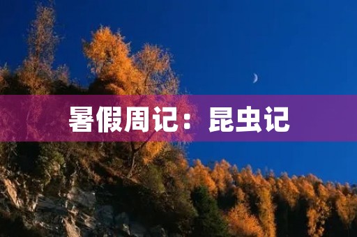 暑假周记:昆虫记 暑假周记:昆虫记
