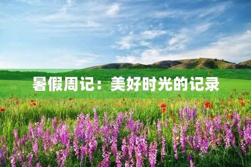 暑假周记:美好时光的记录 暑假周记:美好时光的记录
