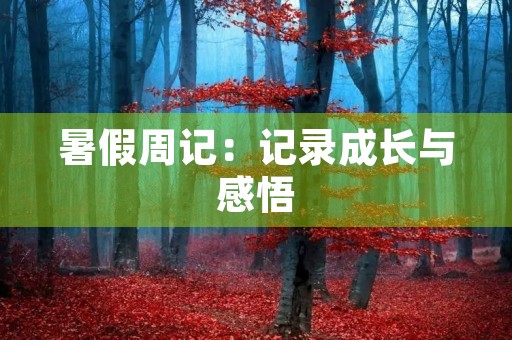 暑假周记：记录成长与感悟