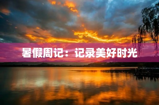 暑假周记：记录美好时光
