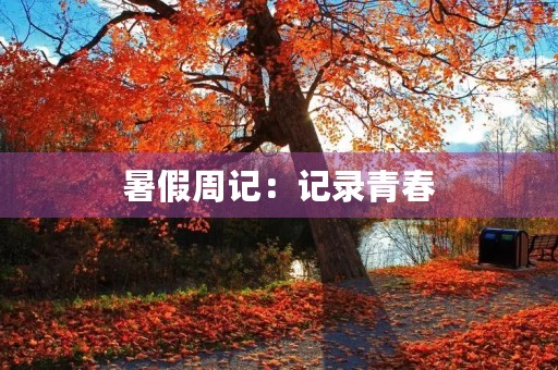 暑假周记:记录青春,留住美好 暑假周记:记录青春,留住美好