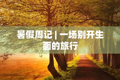 暑假周记 | 一场别开生面的旅行 暑假周记 | 一场别开生面的旅行