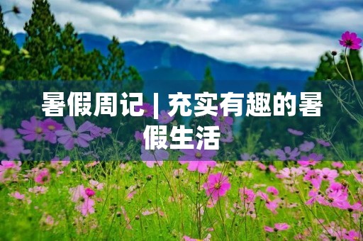 暑假周记 | 充实有趣的暑假生活 暑假周记 | 充实有趣的暑假生活