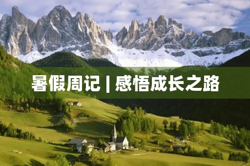 暑假周记 | 感悟成长之路 暑假周记 | 感悟成长之路