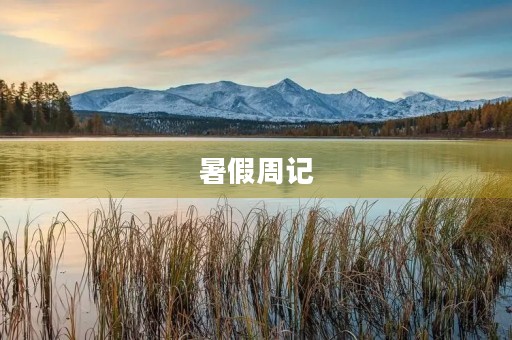 暑假周记 暑假周记