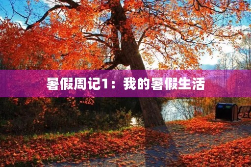 暑假周记1:我的暑假生活 暑假周记1:我的暑假生活