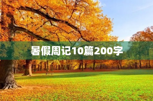 暑假周记10篇200字 暑假周记10篇200字