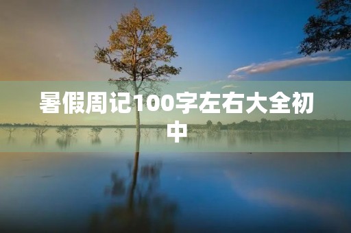 暑假周记100字左右大全初中 暑假周记100字左右大全初中