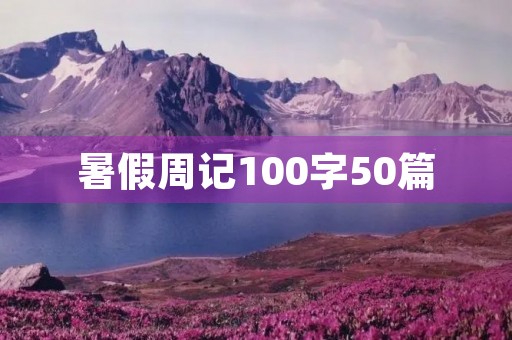 暑假周记100字50篇