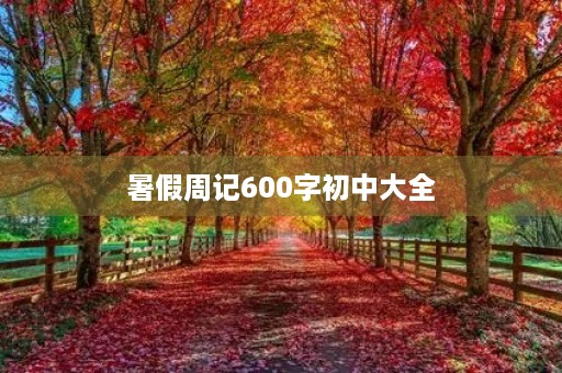 暑假周记600字初中大全 暑假周记600字初中大全