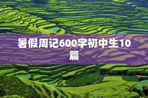 暑假周记600字初中生10篇 暑假周记600字初中生10篇