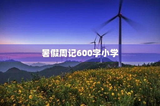 暑假周记600字小学 暑假周记600字小学