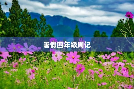 暑假四年级周记