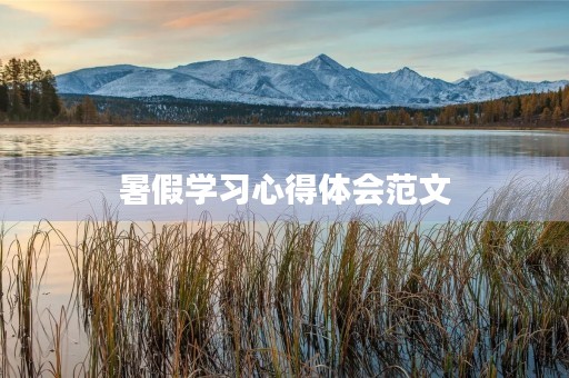 暑假学习心得体会范文
