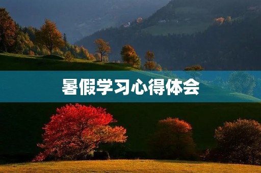 暑假学习心得体会