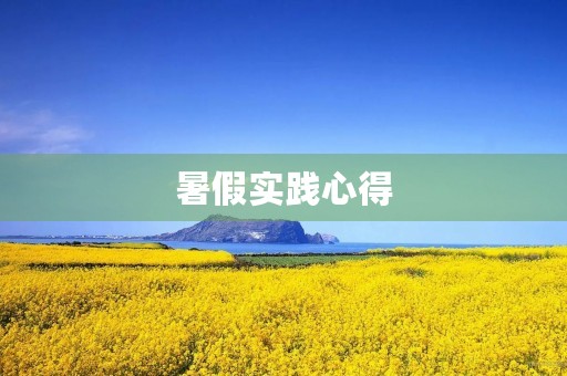 暑假实践心得 暑假实践心得