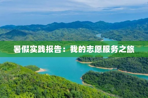暑假实践报告：我的志愿服务之旅