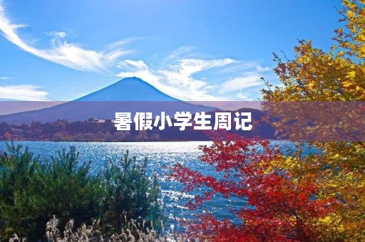 暑假小学生周记