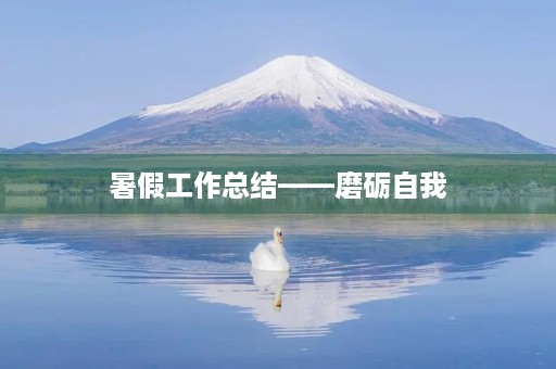 暑假工作总结——磨砺自我,开拓视野