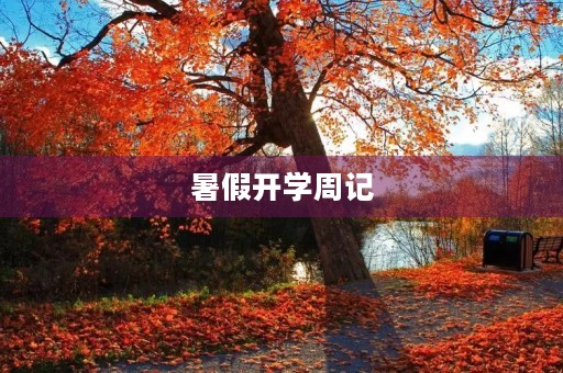 暑假开学周记 暑假开学周记