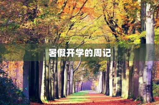 暑假开学的周记