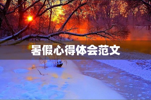 暑假心得体会范文
