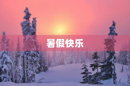 暑假快乐，我的周记