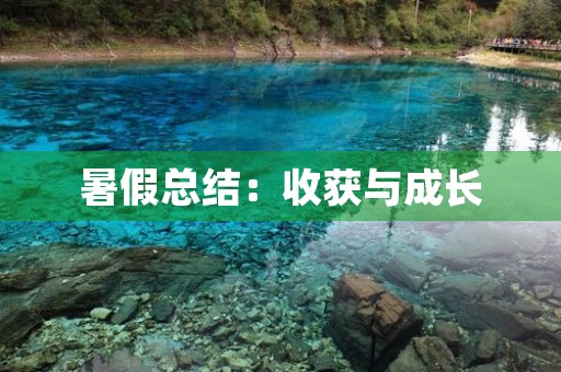 暑假总结：收获与成长