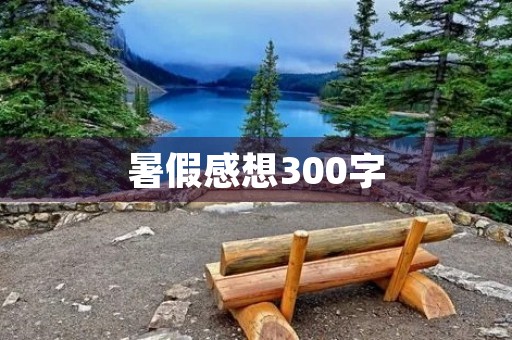 暑假感想300字 暑假感想300字