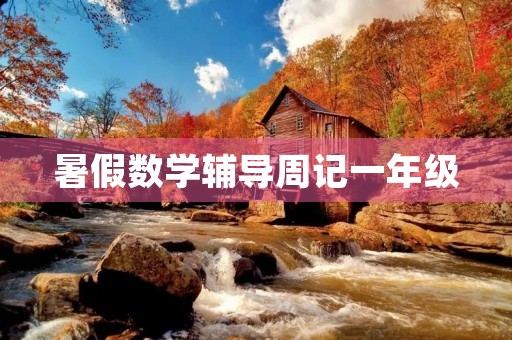 暑假数学辅导周记一年级