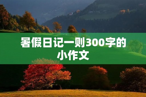 暑假日记一则300字的小作文