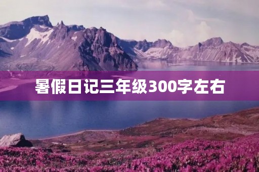 暑假日记三年级300字左右