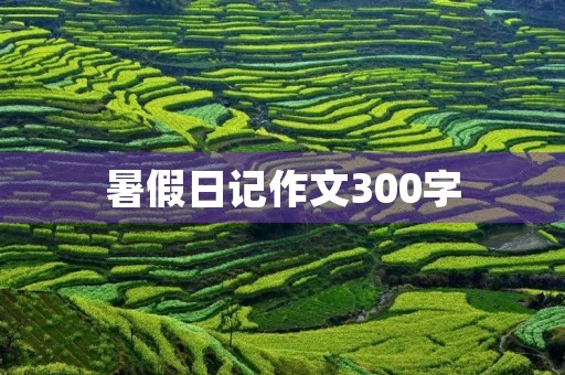 暑假日记作文300字 暑假日记作文300字