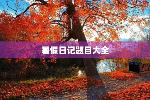 暑假日记题目大全 暑假日记题目大全