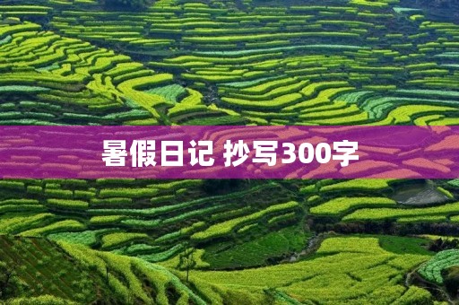 暑假日记 抄写300字