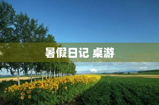 暑假日记 桌游 暑假日记 桌游