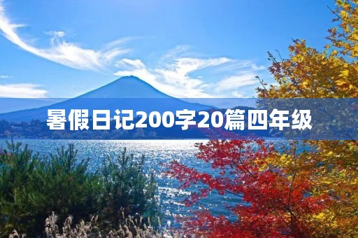 暑假日记200字20篇四年级