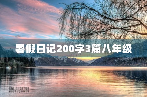 暑假日记200字3篇八年级