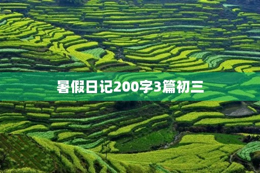 暑假日记200字3篇初三