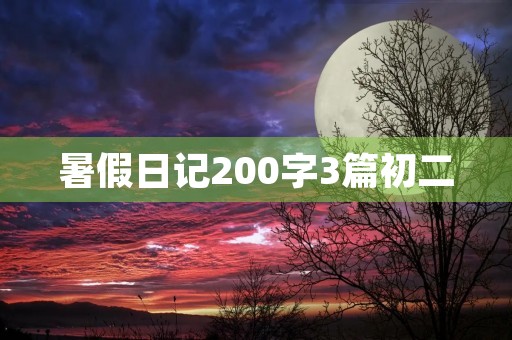 暑假日记200字3篇初二