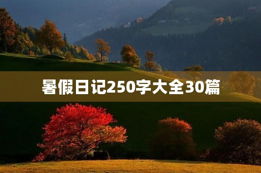 暑假日记250字大全30篇