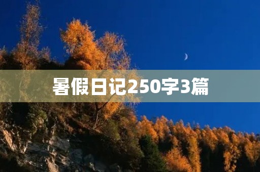 暑假日记250字3篇 暑假日记250字3篇