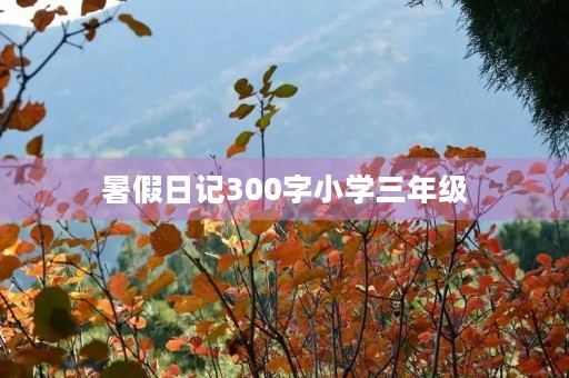 暑假日记300字小学三年级 暑假日记300字小学三年级