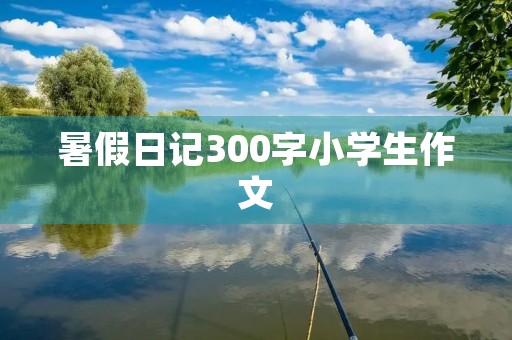 暑假日记300字小学生作文